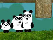 3熊貓