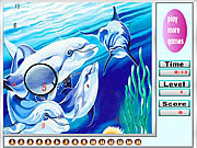 夢幻般的海洋海豚隱藏號碼