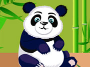 熊貓護理