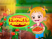 嬰兒淡褐色番茄養殖