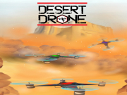 沙漠無人機