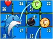海豚骰子比賽