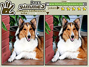 GIMME 5隻狗