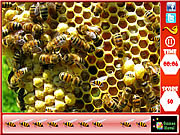 蜂巢裏找蜜蜂