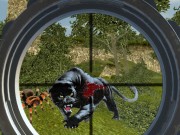 狂野狩獵：叢林狙擊手射擊